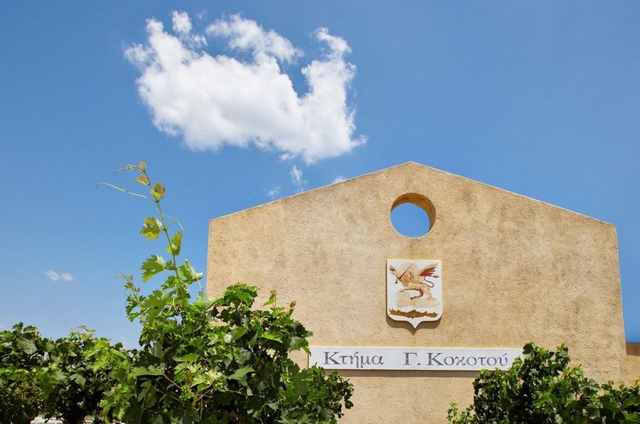 hhRZ33Fd__MG_0262 (1).jpg